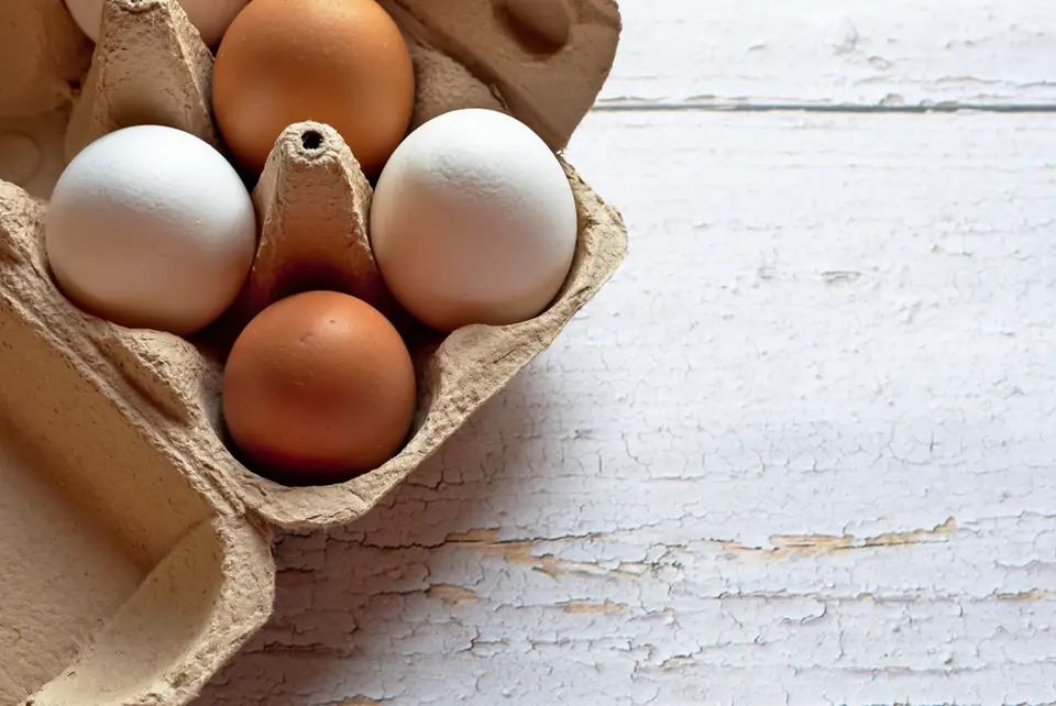 Farm eggs