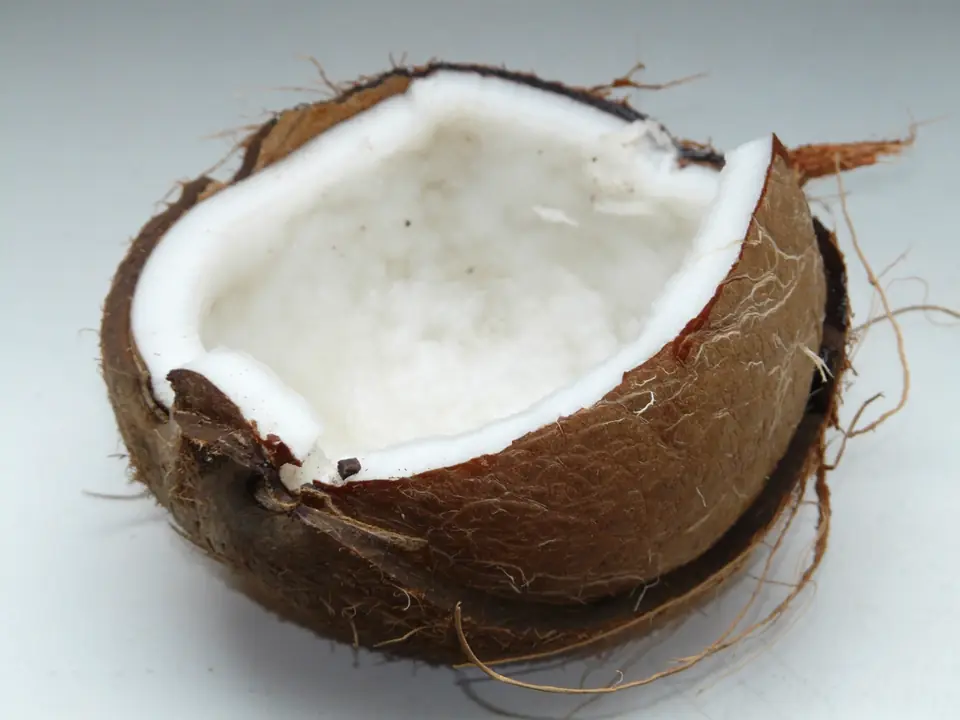 Coconut, a Kerala kitchen staple
