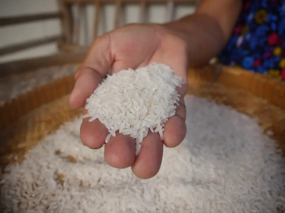 Rice, checked by hand